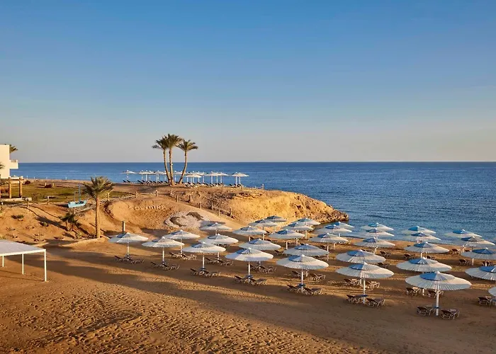 Jaz Neo Reef Marsa Bucht von Coraya
