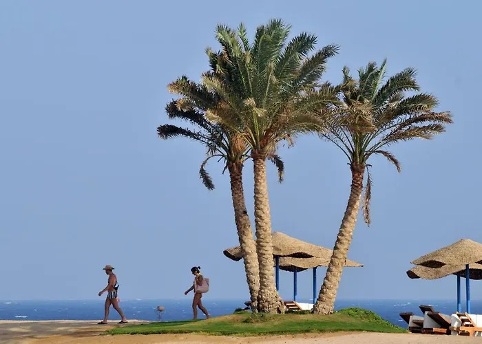 Jaz Neo Reef Marsa Resort Bucht von Coraya