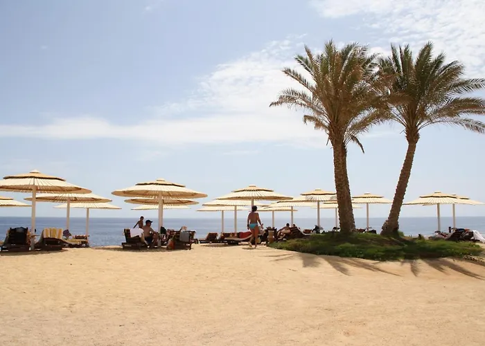 Jaz Neo Reef Marsa Resort 4*