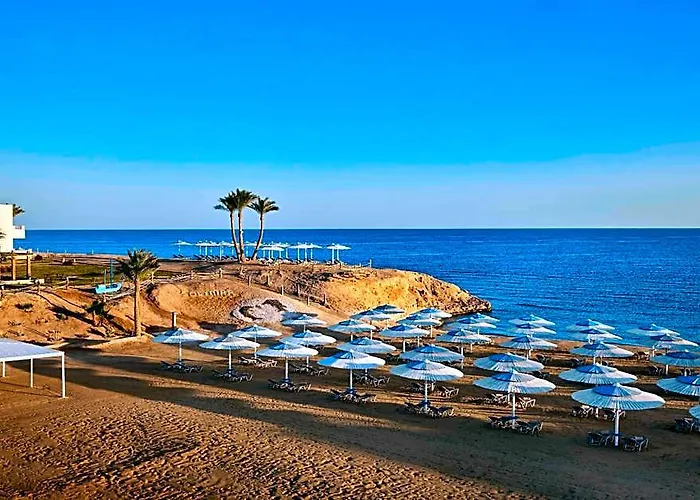 Resort Jaz Neo Reef Marsa Bucht von Coraya